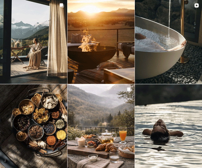 Feed collage visualization