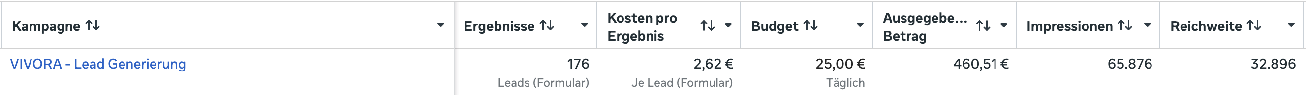 Meta-Kampagnenübersicht mit 176 Leads bei durchschnittlich 2,62 € pro Lead